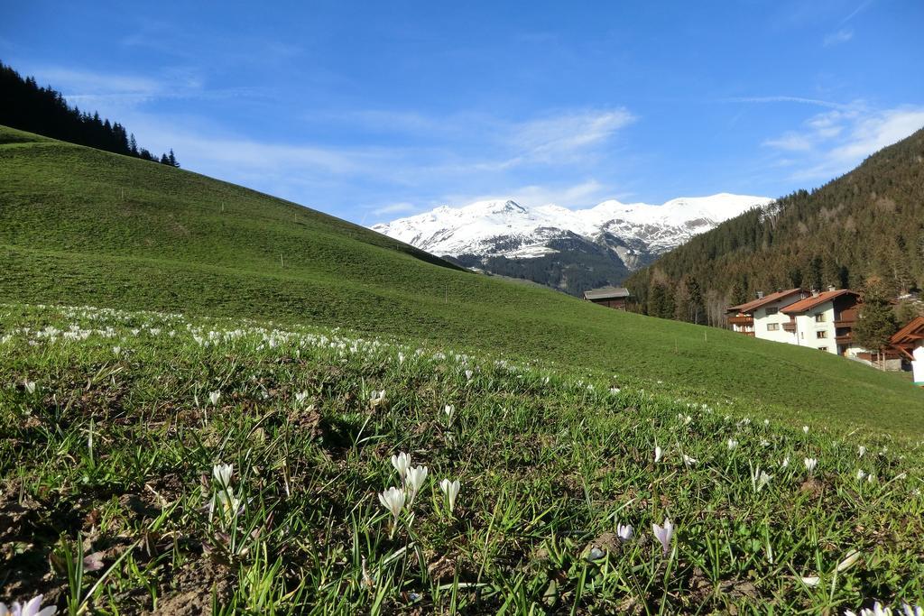 Apartmán Alps Tux Exteriér fotografie
